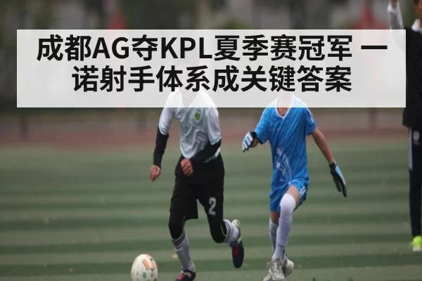 成都AG夺KPL夏季赛冠军 一诺射手体系成关键答案
